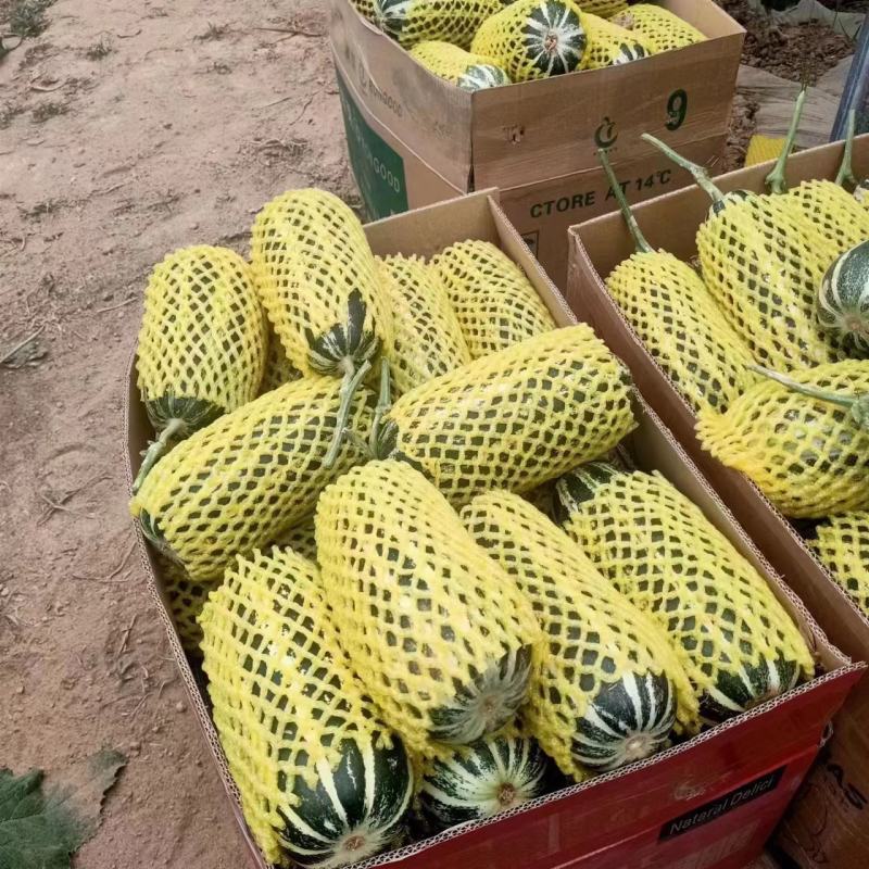 凯特油桃