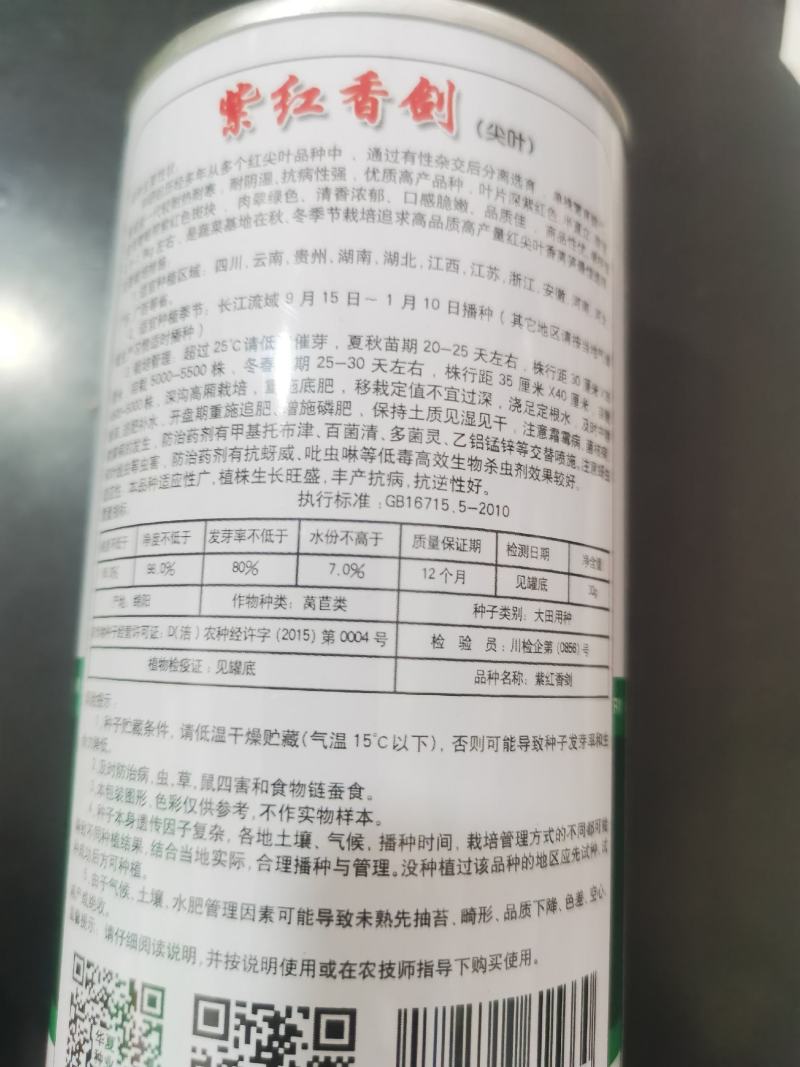 四季绿翠紫罗兰种子口感好产量高