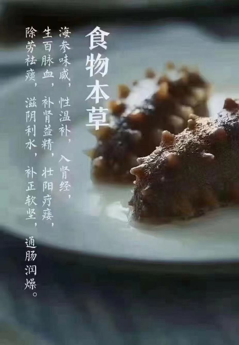 大连原产地，海刺参，淡干，高泡发率，货量充足！真实可靠