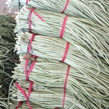 山东长豆角大量上市，有长期发货的老板可以联系了，