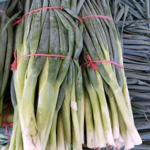 脱水大葱