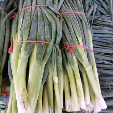 脱水大葱
