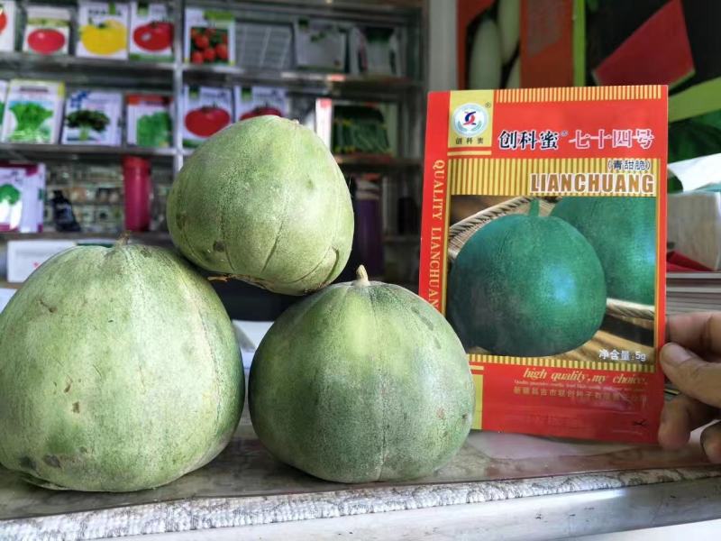 博繁绿莹F1甜瓜种子绿皮绿肉早熟含糖量18结果能力强