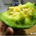 博繁绿莹F1甜瓜种子绿皮绿肉早熟含糖量18结果能力强