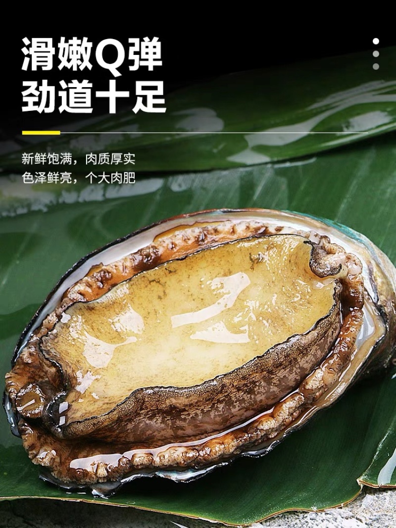 连云港发货、新鲜鲍鱼