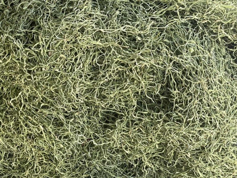 精品干豆角丝(16cm以上、产地直销、一级架豆角烘干）只做精