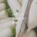 韩白308白萝卜种子厚皮不糠心不裂根商品性好口感好产量高