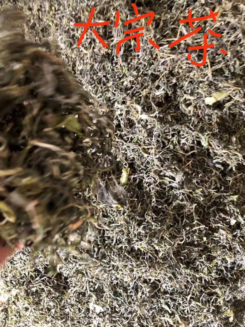 纯手工炒制云南绿茶