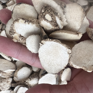 泽泻广西泽泻、四川泽泻中药用泽泻各种规格
