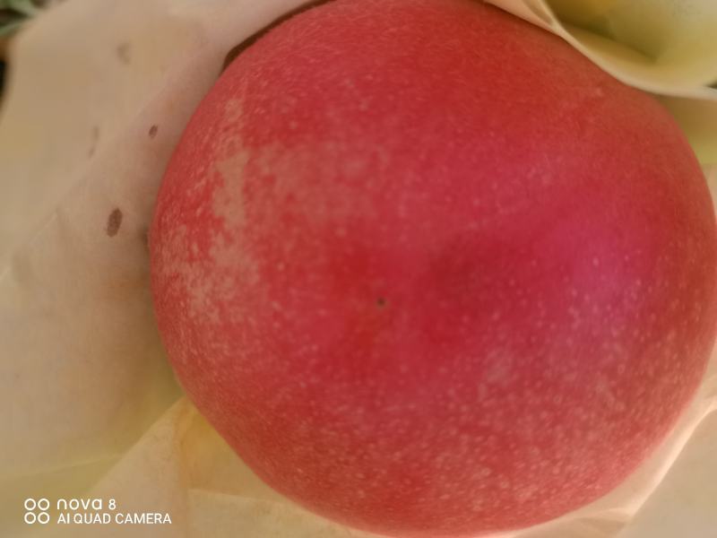 绿色食品.胭脂蜜桃