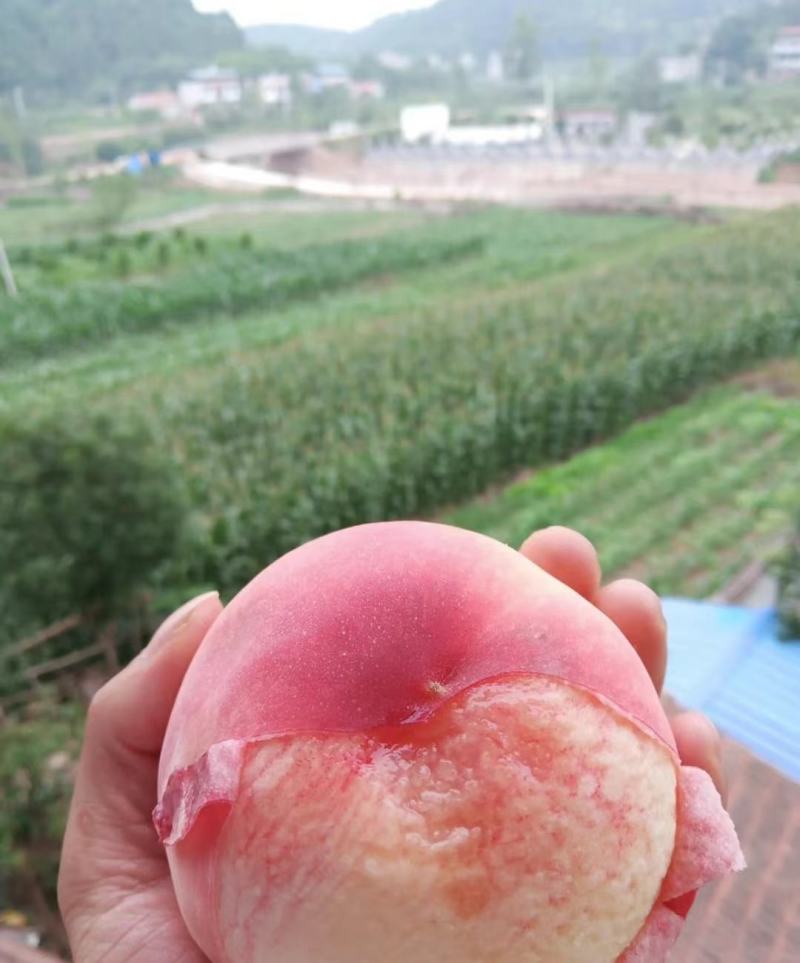绿色食品.胭脂蜜桃