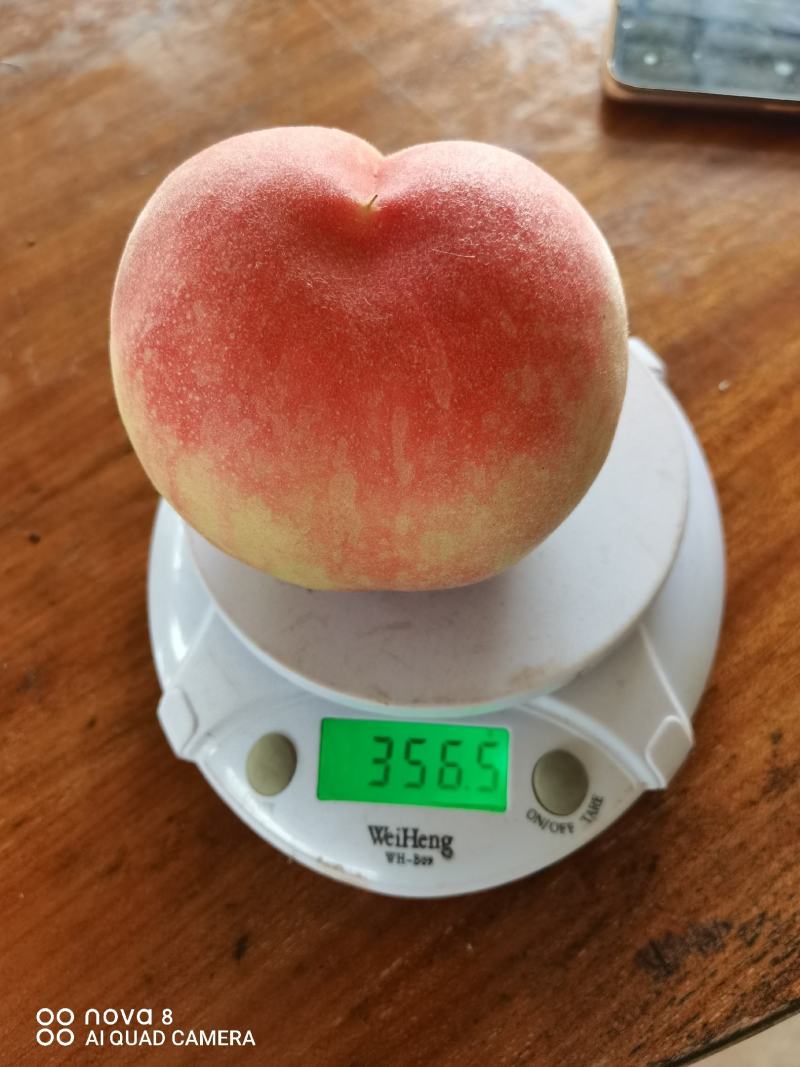 绿色食品.胭脂蜜桃