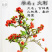 火棘吉祥果盆景树桩四季常绿观花观果盆栽室内外带果年宵花卉