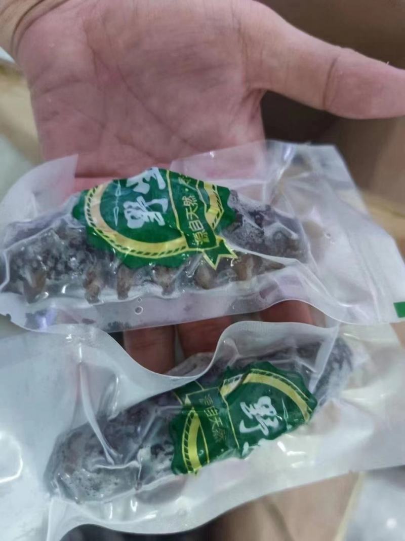 冷蒸即食，高品质！大连原产地海刺参，口感Q弹有嚼劲