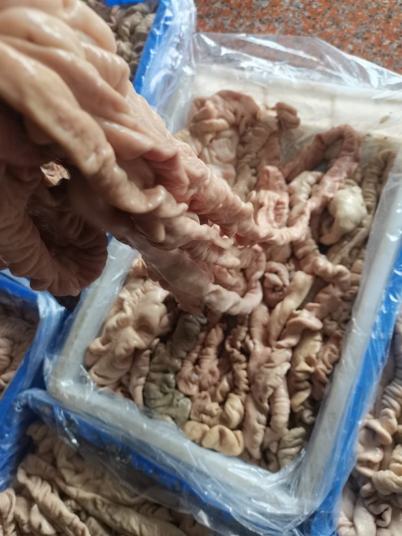 【猪副产品】猪大肠，厂家一手货源，质量保证