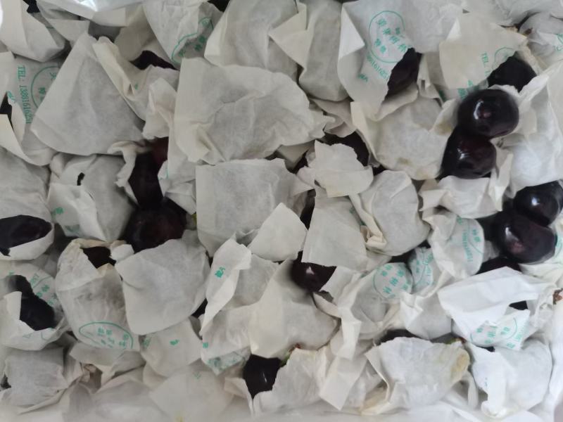 大樱桃，枇杷，李子，梨