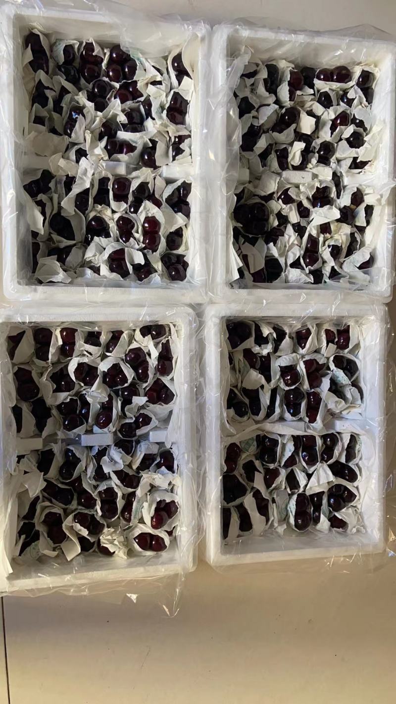 大樱桃，枇杷，李子，梨
