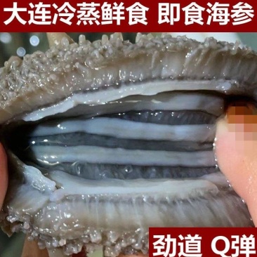 冷蒸即食，高品质！大连原产地海刺参，口感Q弹有嚼劲