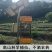 霍山县大化坪镇金鸡山手工制作袋装500g黄芽产地发货