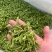 霍山县大化坪镇金鸡山手工制作袋装500g黄芽产地发货