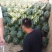 陕西蒲城甜王，黑无籽，金城武大量上市