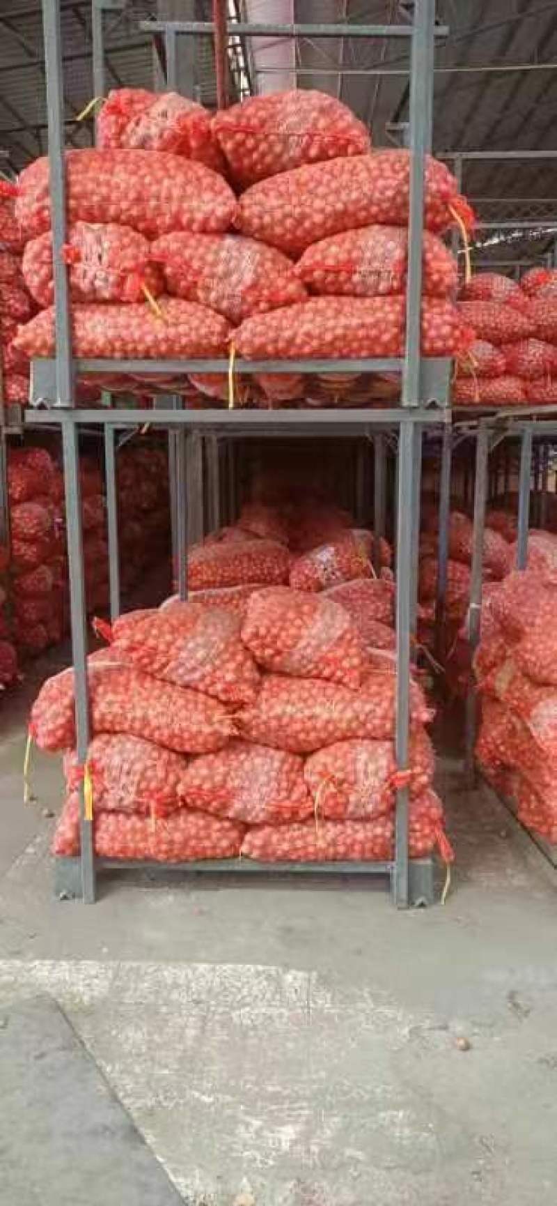 精品洋葱，毛葱，货源充足。大量现货，品质保障。来电咨询