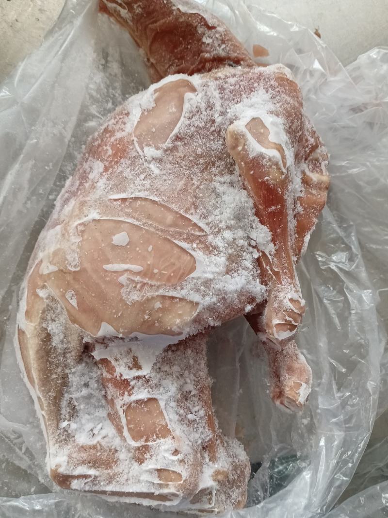 8一只烤全羊羊白条去皮小羊全国发货可发样品