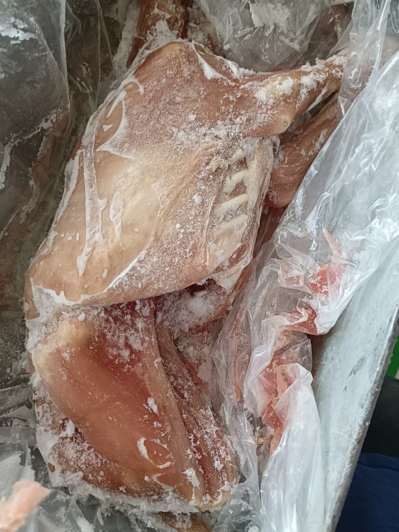 8一只烤全羊羊白条去皮小羊全国发货可发样品