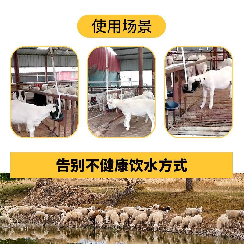 羊用钢板饮水碗加厚铜阀门喝水碗羊用自动饮水器喝水槽羊水盆