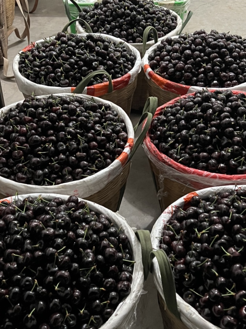 雅安汉源(果园出售）车厘子🍒