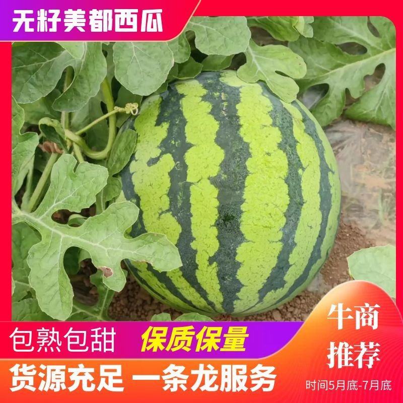 【推荐】湖南精品麒『无籽美都西瓜代办甜度高瓜型好鲜货供应