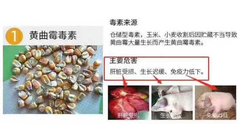 脱霉剂，脱霉宝，生物脱霉，蒙脱石脱霉产品