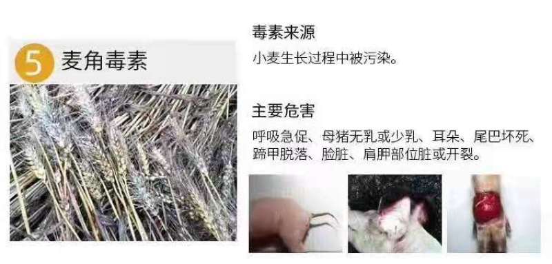 脱霉剂，脱霉宝，生物脱霉，蒙脱石脱霉产品