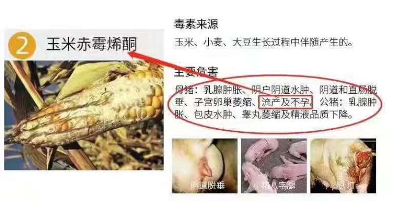 脱霉剂，脱霉宝，生物脱霉，蒙脱石脱霉产品