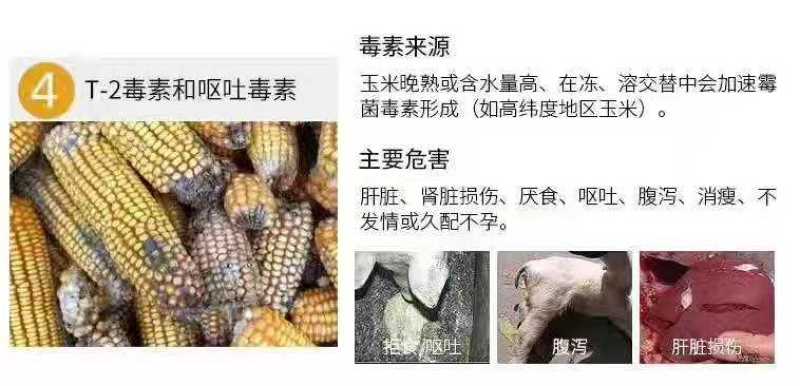 脱霉剂，脱霉宝，生物脱霉，蒙脱石脱霉产品