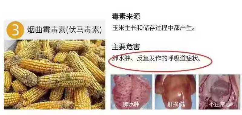 脱霉剂，脱霉宝，生物脱霉，蒙脱石脱霉产品