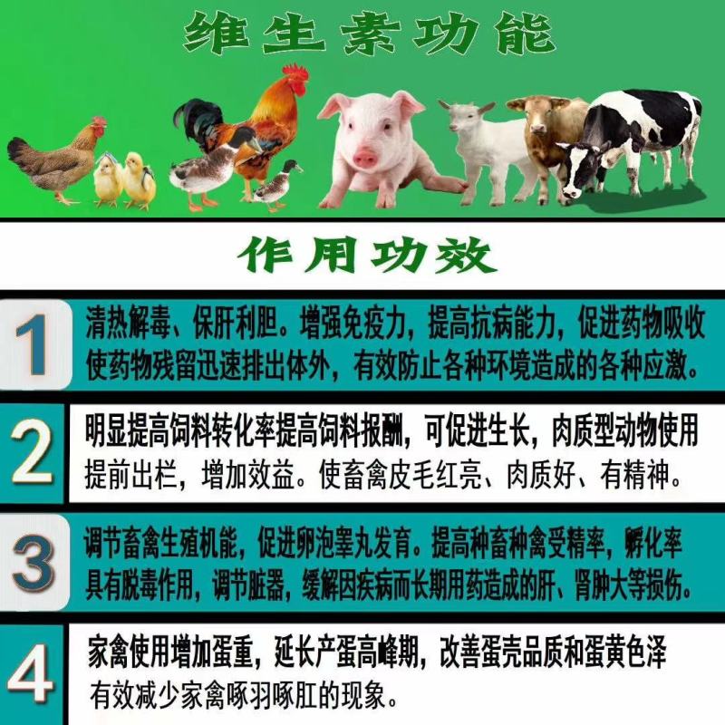 维尔肽，补充维生素，抗应激，补充氨基酸，啄肛啄羽