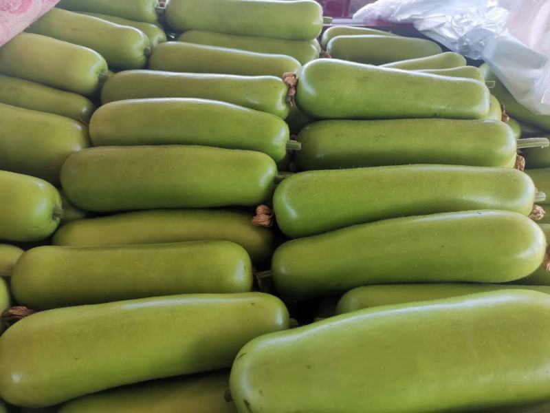 精品瓠瓜，大量现货供应，电商平台，超市，走市场均可