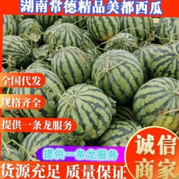 湖南常德澧县美都西瓜麒麟瓜大量上市，货源充足产地直发