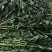 玉米杆青贮草料，长期供应。