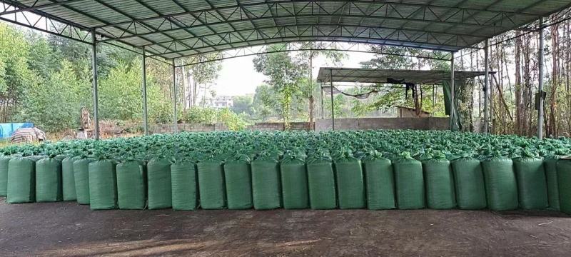 玉米杆青贮草料，长期供应。
