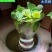 水芙蓉苗水浮萍水葫芦养草养鱼养虾鱼缸池塘造景水草水培植物