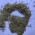 伸筋草沫子成品两种规格供应统批发零售各种草药规格齐全