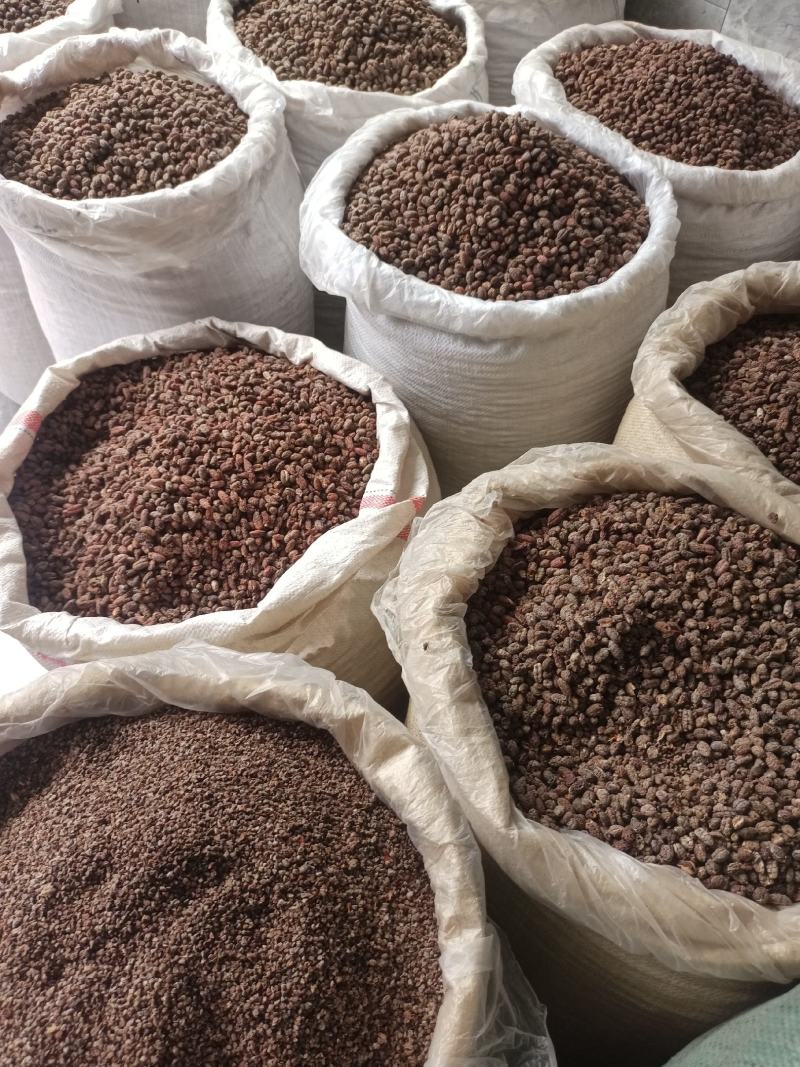正品阳春砂仁，新货颜色好，里面仁饱满，量大从优，产地直销