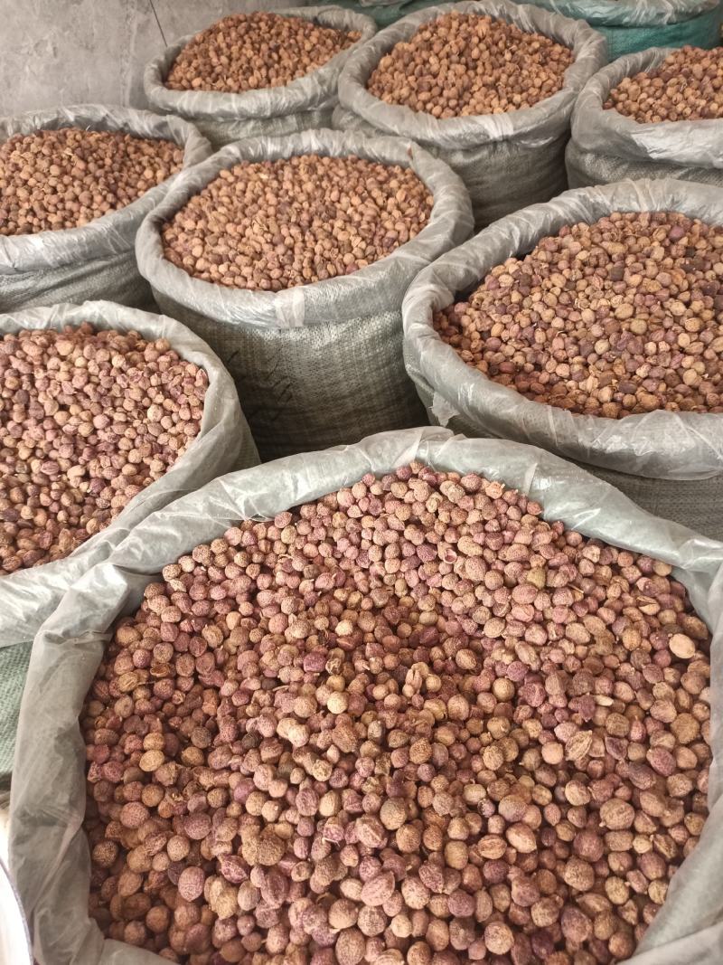 正品阳春砂仁，新货颜色好，里面仁饱满，量大从优，产地直销