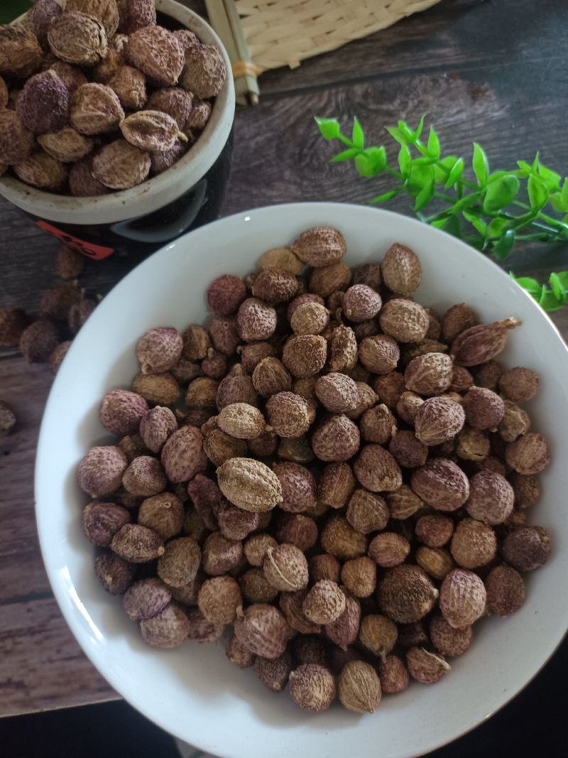 正品阳春砂仁，新货颜色好，里面仁饱满，量大从优，产地直销