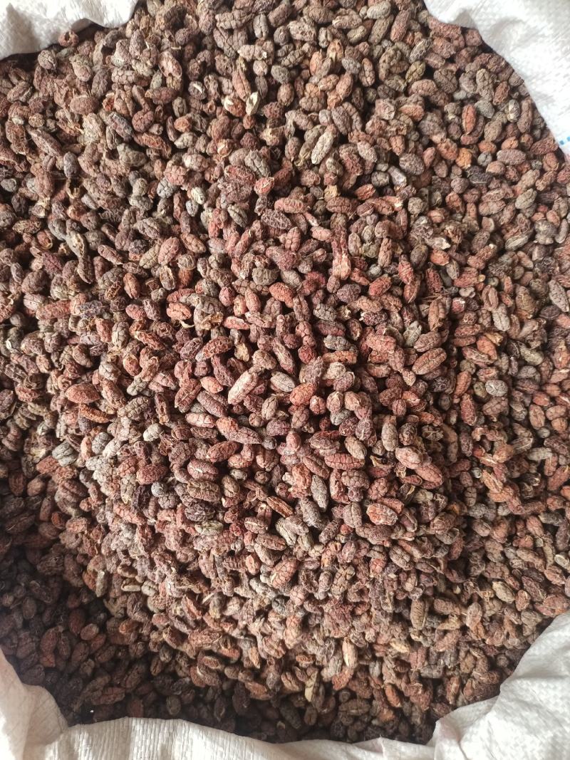 正品阳春砂仁，新货颜色好，里面仁饱满，量大从优，产地直销