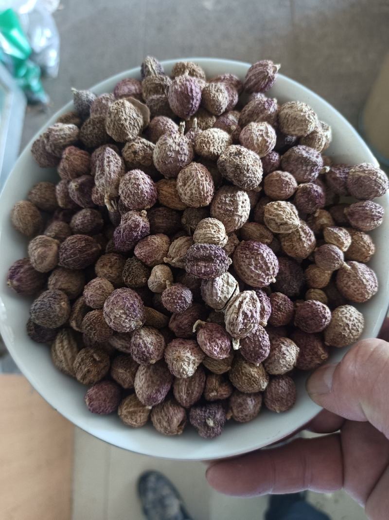 正品阳春砂仁，新货颜色好，里面仁饱满，量大从优，产地直销