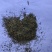 伸筋草沫子成品两种规格供应统批发零售各种草药规格齐全