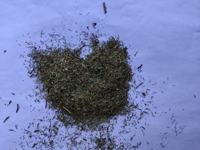 伸筋草沫子成品两种规格供应统批发零售各种草药规格齐全